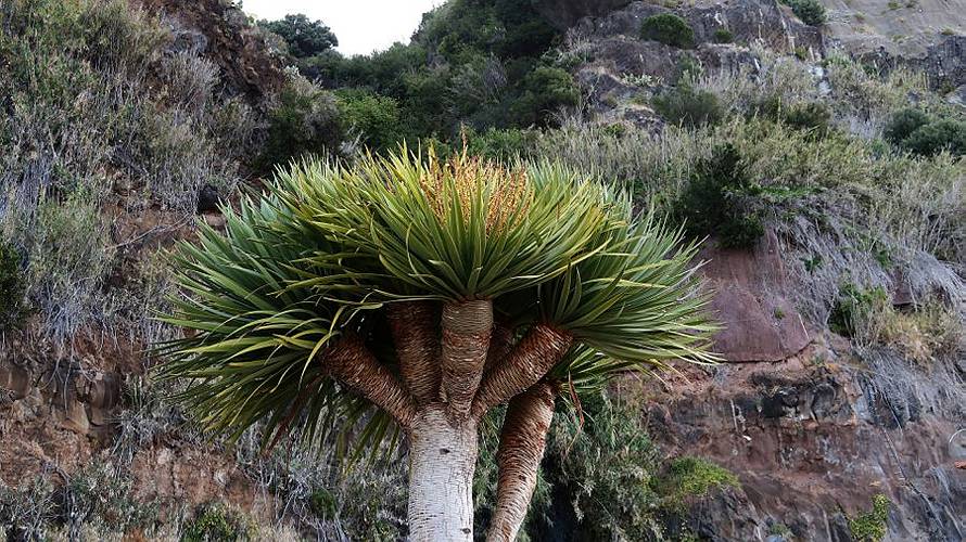 04_calheta _07